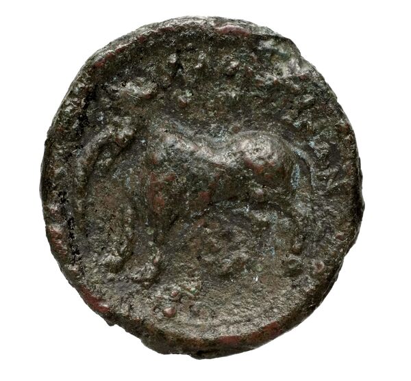(H)aluntium Puglisi 2009 59, реверс, bnf-iris