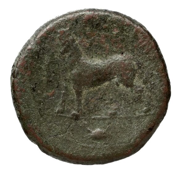 (H)aluntium Puglisi 2009 59, реверс, bnf-iris