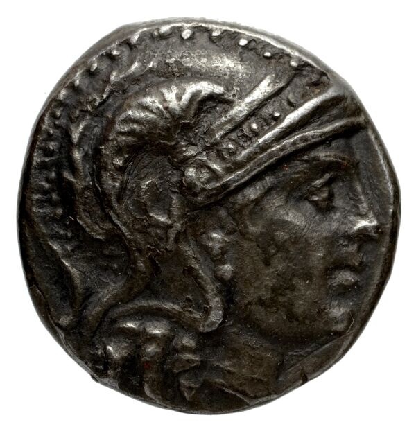 Scylletium Historia Numorum Italy 2565, аверс, bnf-iris