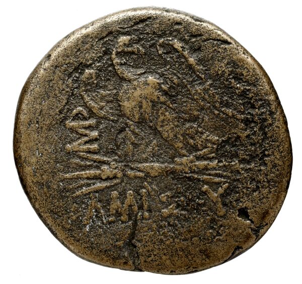 Amisus Waddington 1925 14, реверс, bnf-iris