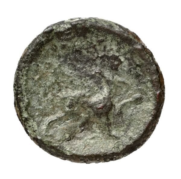 Eryx Puglisi 2009 89, реверс, BnF (IRIS)
