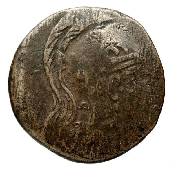 Camarina Westermark and Jenkins 1980 10-129, аверс, bnf-iris