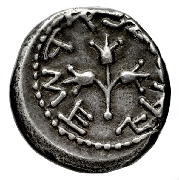 Neapolis Historia Numorum Italy 571, реверс, bnf-iris