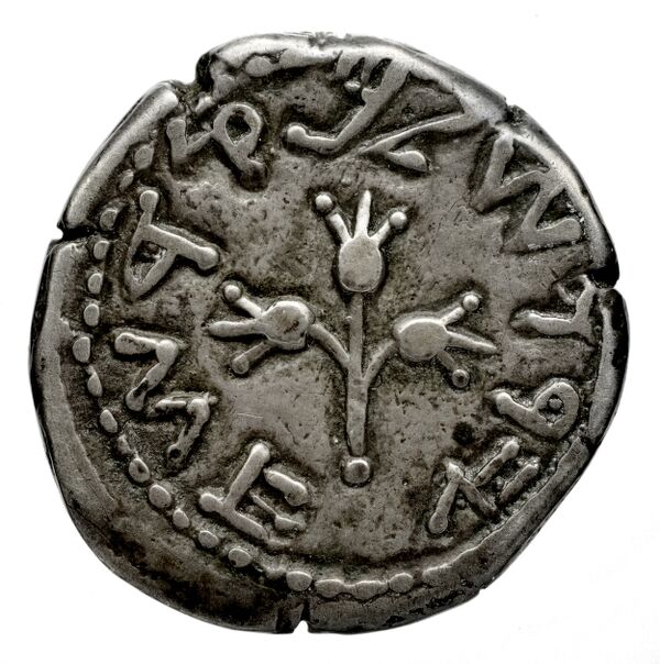 Neapolis Historia Numorum Italy 565, реверс, bnf-iris