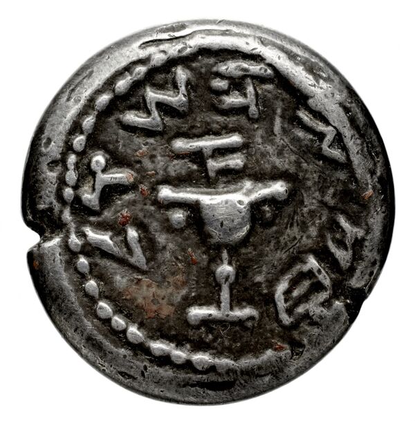 Neapolis Historia Numorum Italy 565, аверс, bnf-iris