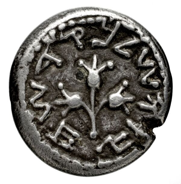 Neapolis Historia Numorum Italy 565, реверс, bnf-iris