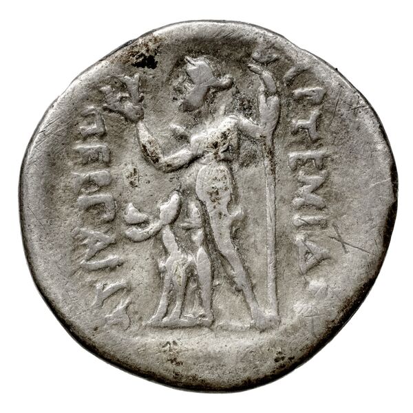 Neapolis Historia Numorum Italy 571, реверс, bnf-iris