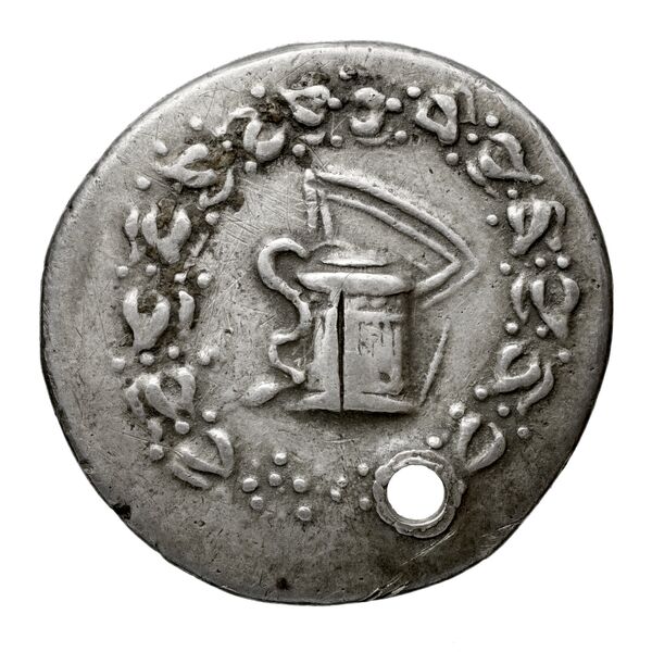 Ephesus Kleiner and Noe 1977 23, аверс, BnF (IRIS)
