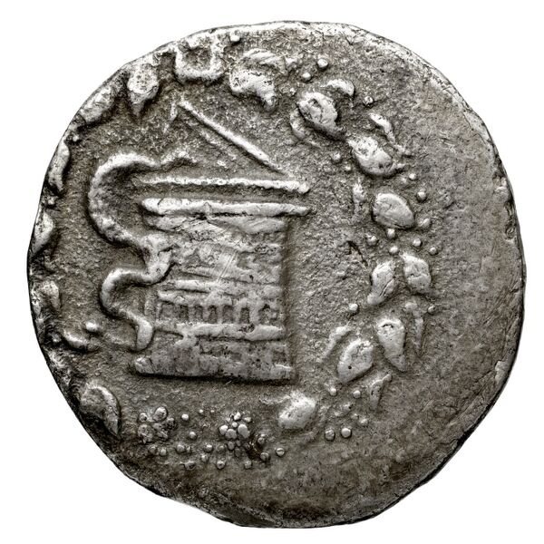 Ephesus Kleiner and Noe 1977 13, аверс, BnF (IRIS)