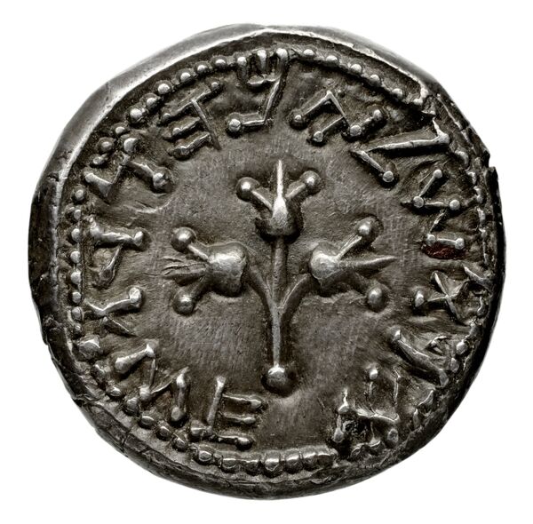 Neapolis Historia Numorum Italy 547, реверс, bnf-iris