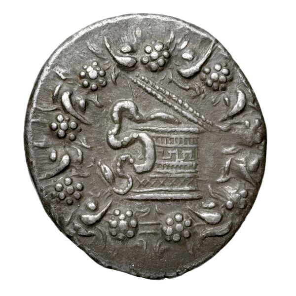аверс Tralles Carbone 2020 XVII, tetradrachms