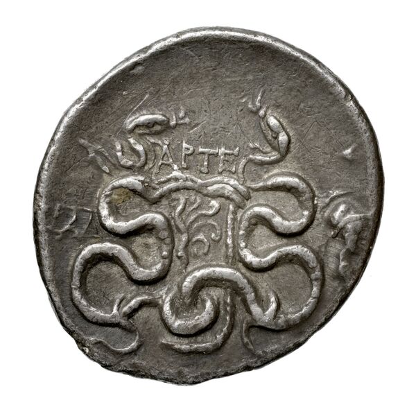 реверс Tralles Carbone 2020 XVII, tetradrachms