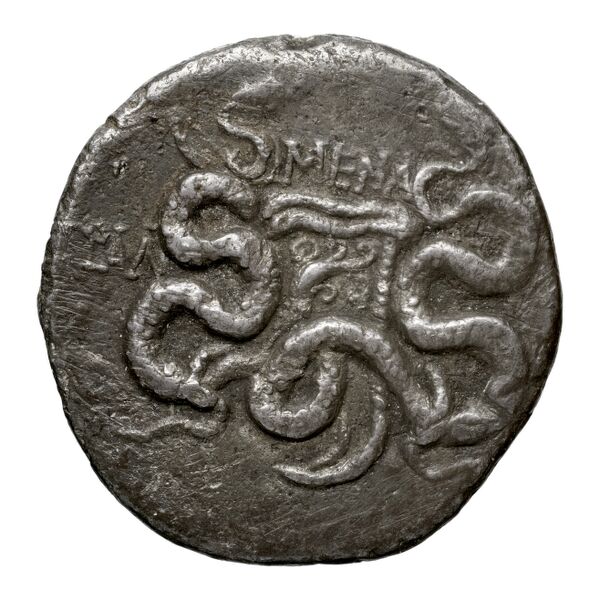 реверс Tralles Carbone 2020 XXIV, tetradrachms