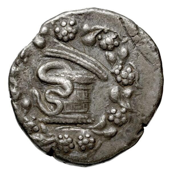 аверс Tralles Carbone 2020 XXXVI, tetradrachms