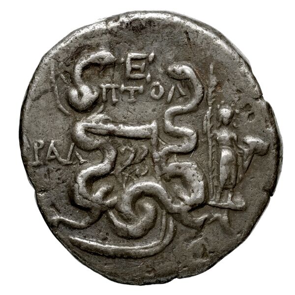 реверс Tralles Carbone 2020 XXXVI, tetradrachms