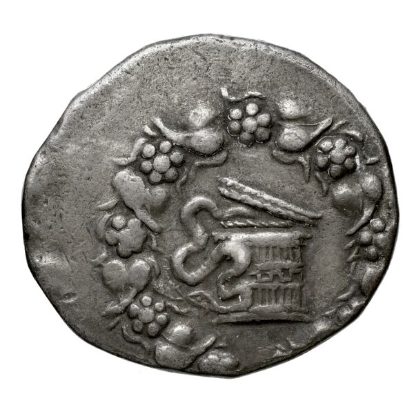 Apamea in Phrygia Kleiner 1979 XVI, аверс, BnF (IRIS)