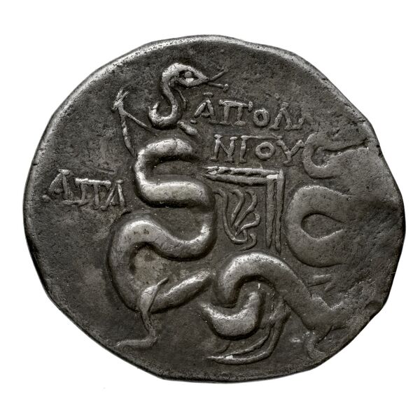 Apamea in Phrygia Kleiner 1979 XVI, реверс, BnF (IRIS)