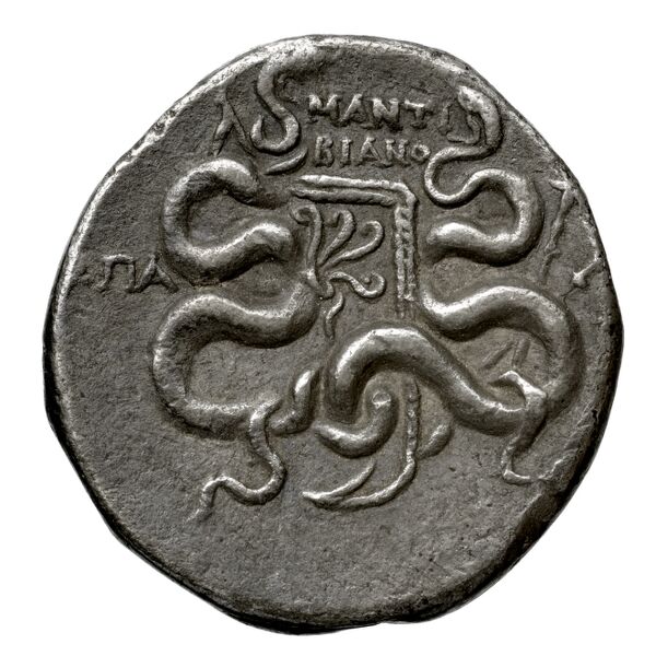 реверс Apamea in Phrygia Kleiner 1979 XIV