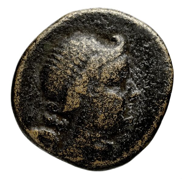 Neapolis Historia Numorum Italy 564, аверс, bnf-iris
