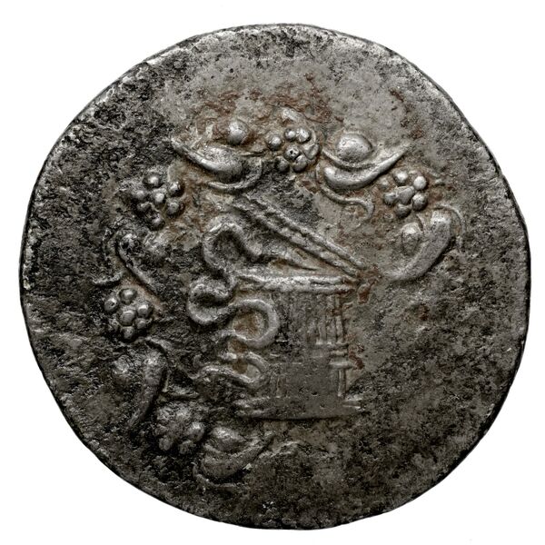 Ap. Claudius Ap. f. Pulcher, governor of Cilicia Apamea in Phrygia Metcalf 2017 VII, аверс, bnf-iris