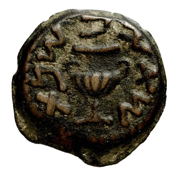 Phaselis Heipp-Tamer 1993 AE 1, аверс, bnf-iris