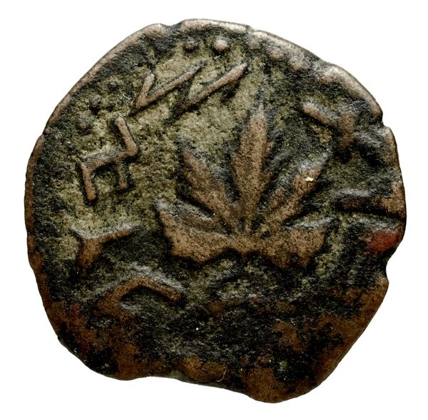 Phaselis Heipp-Tamer 1993 AE 1, реверс, bnf-iris