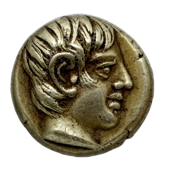 Phaselis Heipp-Tamer 1993 AE 1, аверс, bnf-iris