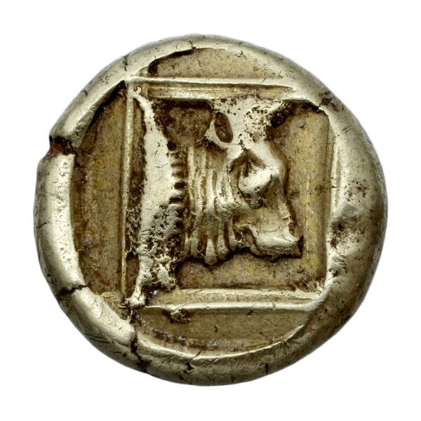 Phaselis Heipp-Tamer 1993 AE 1, реверс, bnf-iris