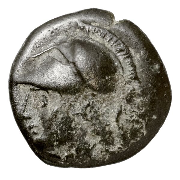 Neapolis Historia Numorum Italy 586, аверс, bnf-iris