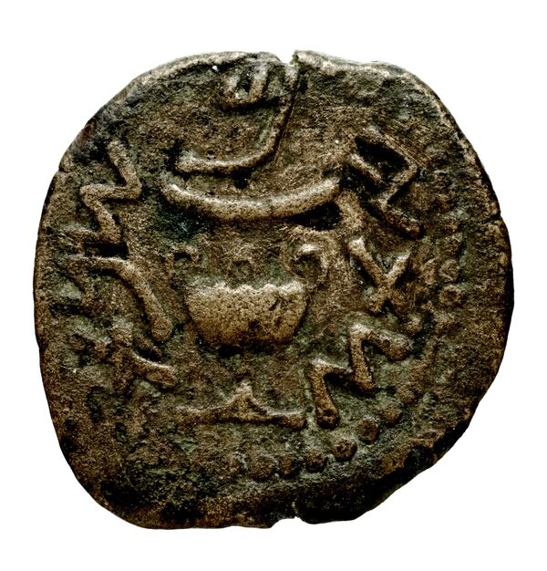 Phaselis Heipp-Tamer 1993 10.1, аверс, bnf-iris