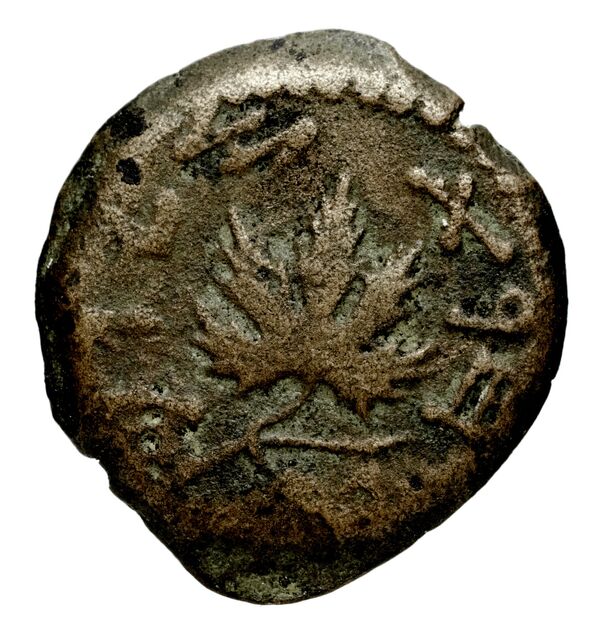 Phaselis Heipp-Tamer 1993 10.1, реверс, bnf-iris