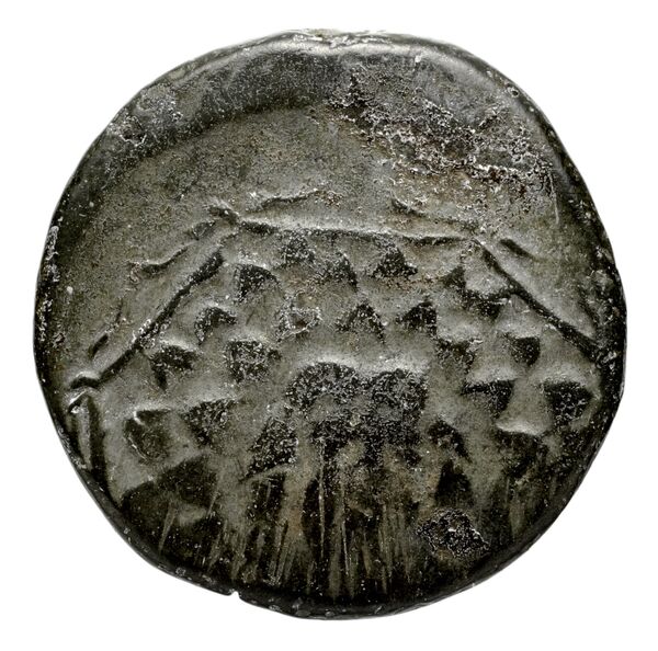 Neapolis Historia Numorum Italy 576, аверс, bnf-iris