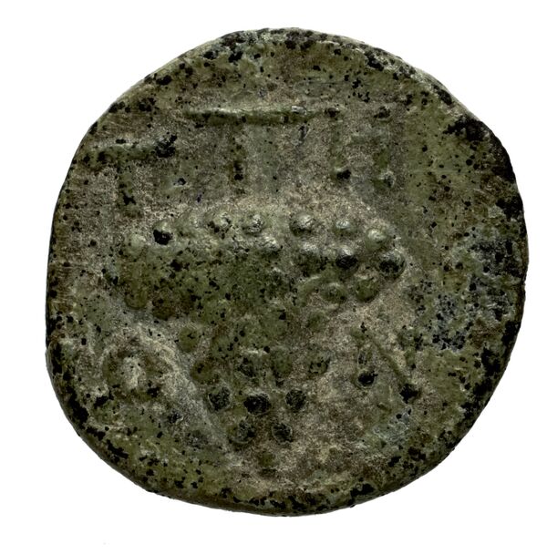 reverse Teos Kinns 1980 Period IV, AE 16