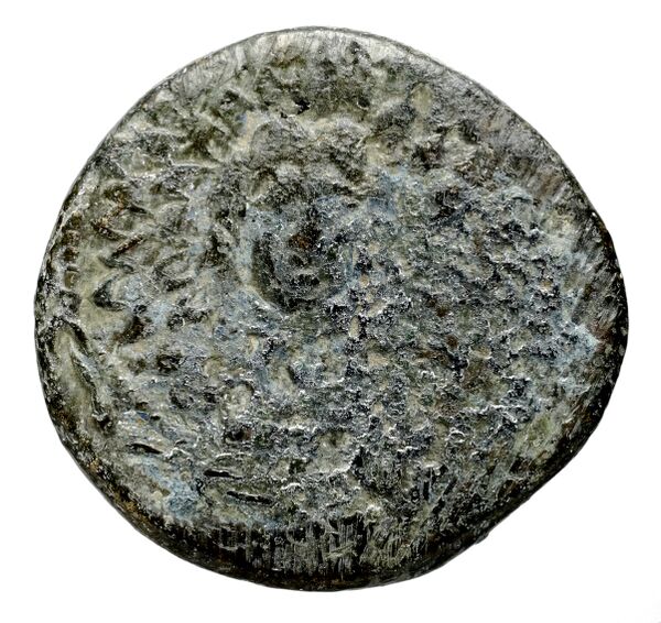 Neapolis Historia Numorum Italy 579, аверс, bnf-iris
