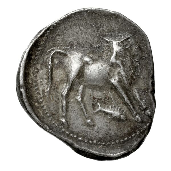 Neapolis Historia Numorum Italy 579, реверс, bnf-iris