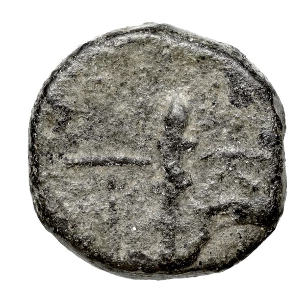 Neapolis Historia Numorum Italy 579, реверс, bnf-iris