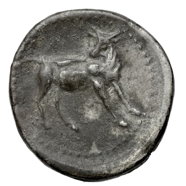 Neapolis Historia Numorum Italy 579, реверс, bnf-iris