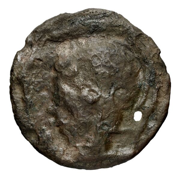 Olbia Anokhin 2011 155-66, аверс, BnF (IRIS)