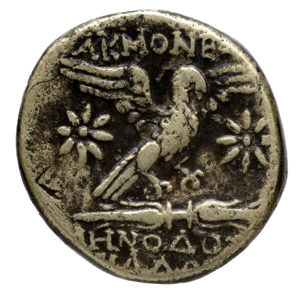 Aspendus Tekin 2000 Series 1, реверс, bnf-iris