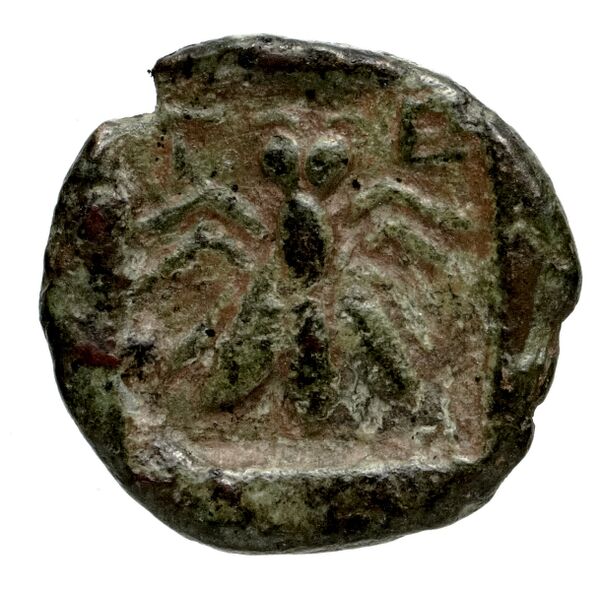 Telmessus Tek 2006 4, реверс, bnf-iris
