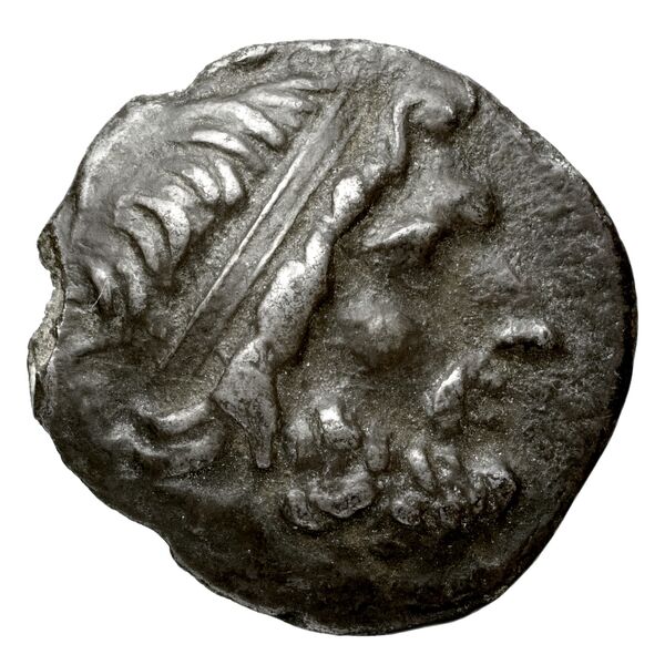 Neapolis Historia Numorum Italy 586, аверс, bnf-iris