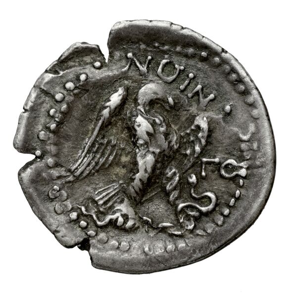 Neapolis Historia Numorum Italy 586, реверс, bnf-iris