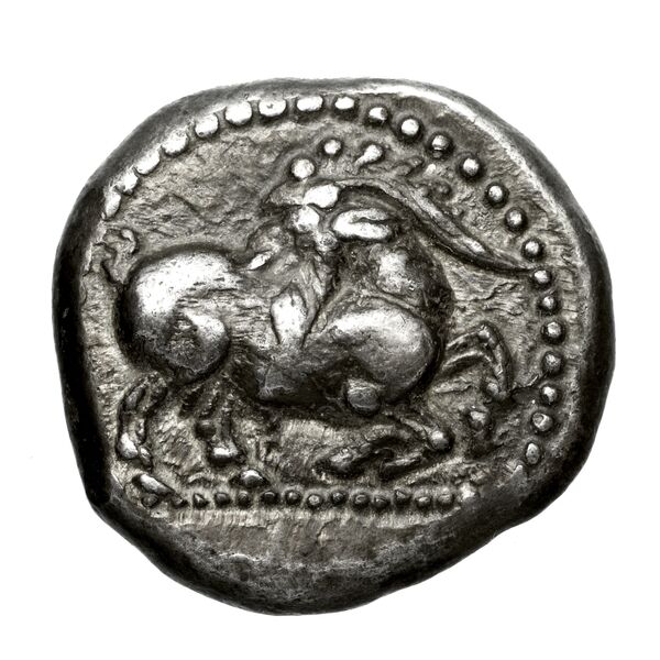 Neapolis Historia Numorum Italy 586, аверс, bnf-iris