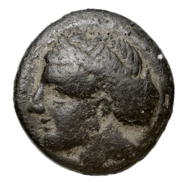 Larissa Phriconis Babelon 1910 2069, аверс, BnF (IRIS)