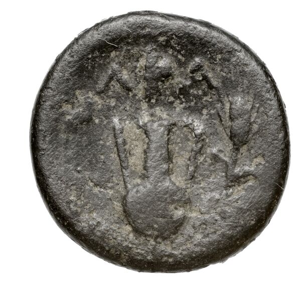 Larissa Phriconis Babelon 1910 2069, реверс, BnF (IRIS)