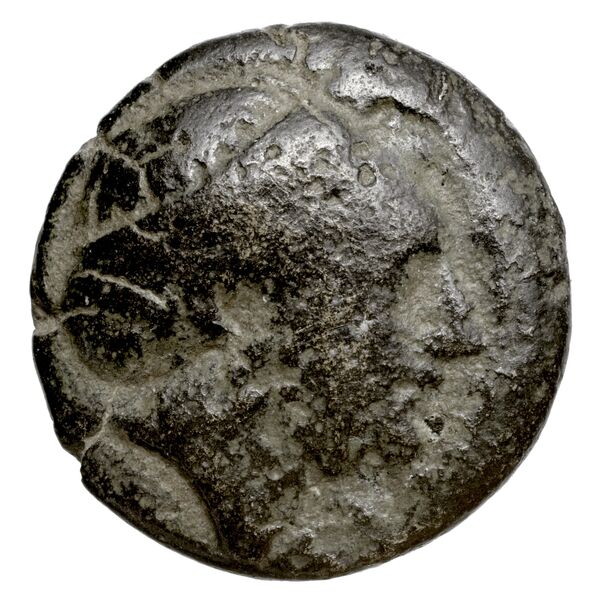 Larissa Phriconis Babelon 1910 2069, аверс, BnF (IRIS)
