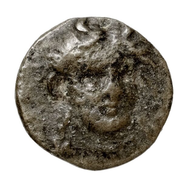 Larissa Phriconis Babelon 1910 2067, аверс, BnF (IRIS)