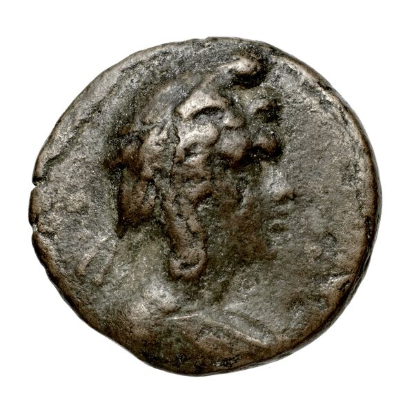 аверс Chersonesus, Tauric Anokhin 2011 626-9; 644-6
