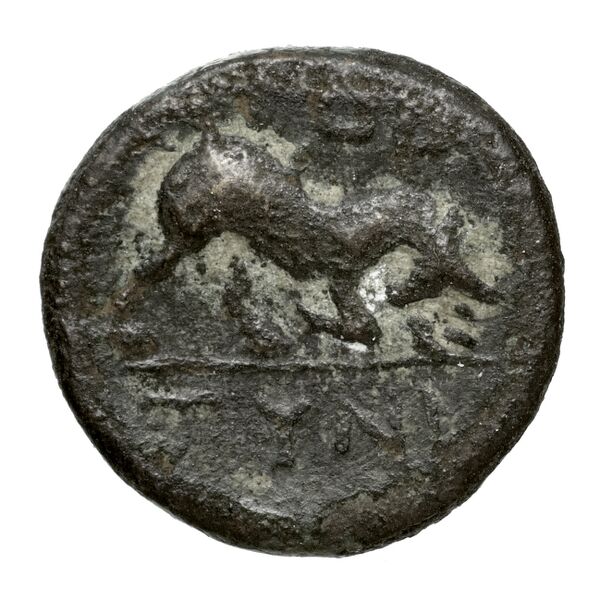 реверс Magnesia in Thessaly SNG Copenhagen Magnetes 155-156