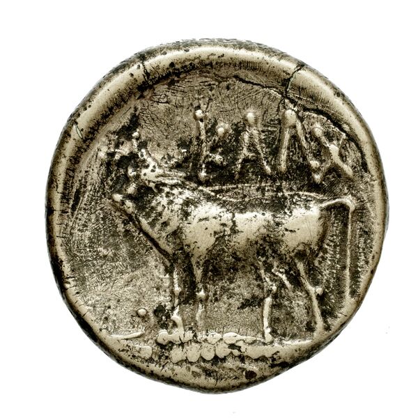 Neapolis Historia Numorum Italy 574, реверс, bnf-iris
